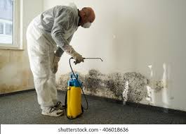  West Hazleton, PA Mold Removal Pros